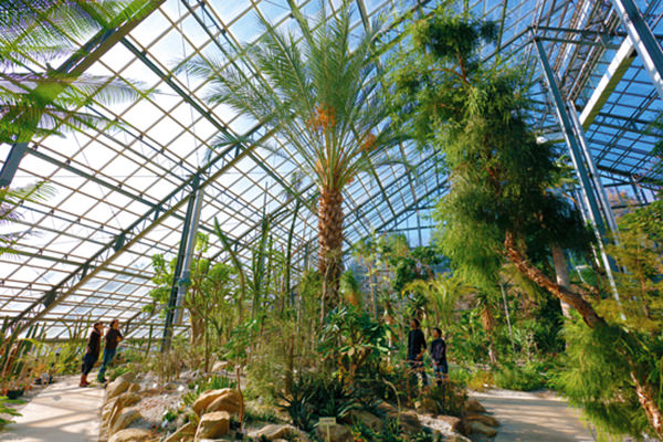 筑波実験植物園